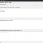 Custom CSS/JS Plugin